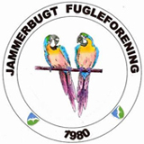 jammerbugt_fugleforening