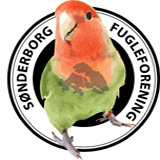 sonderborg
